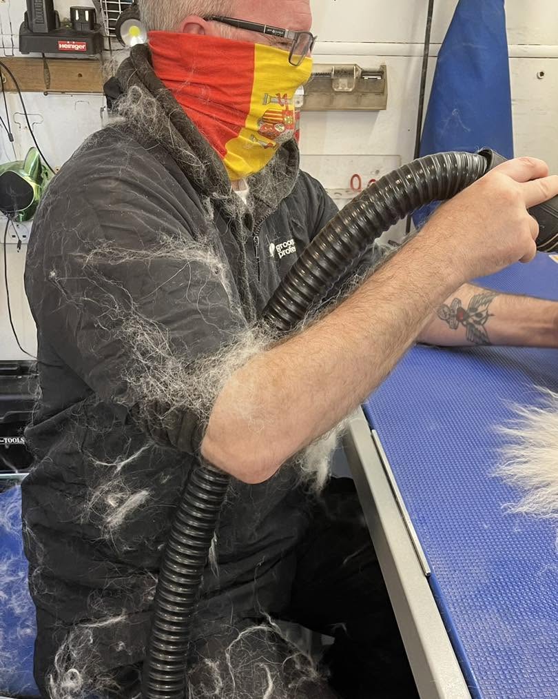 Howling Dogs Grooming gallery photo 13